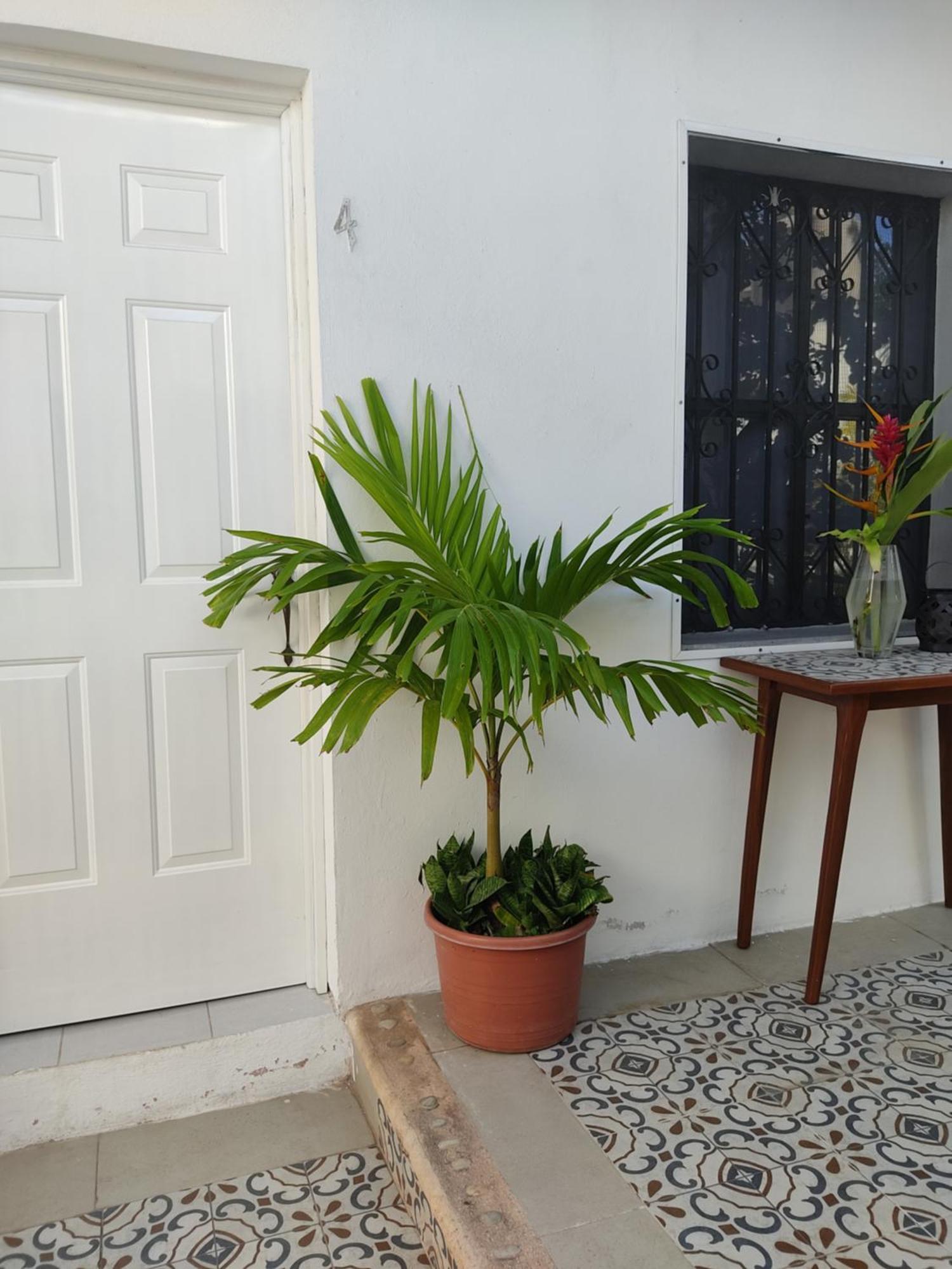 Casa Mercedes Valladolid  Rom bilde